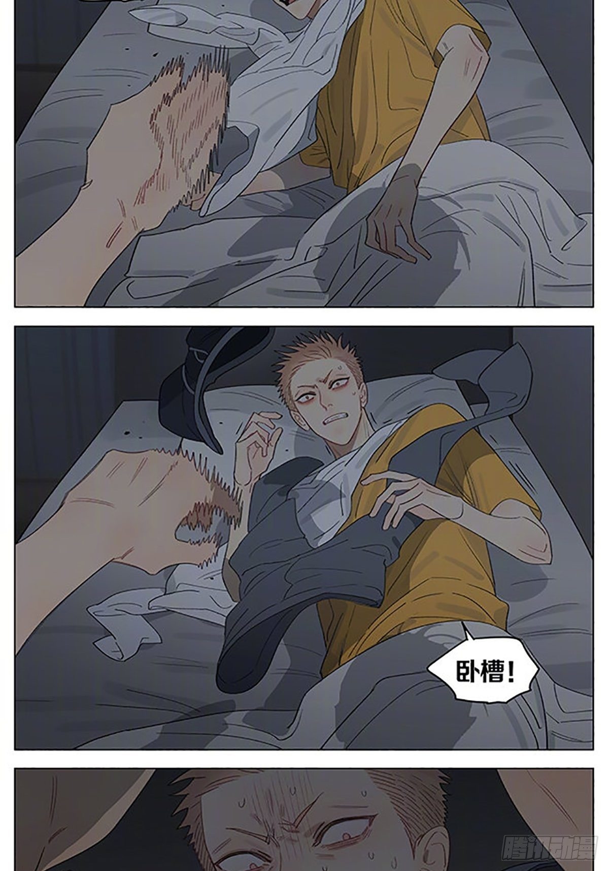 14.jpg