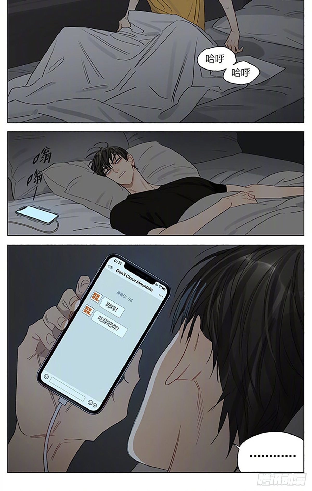 17.jpg