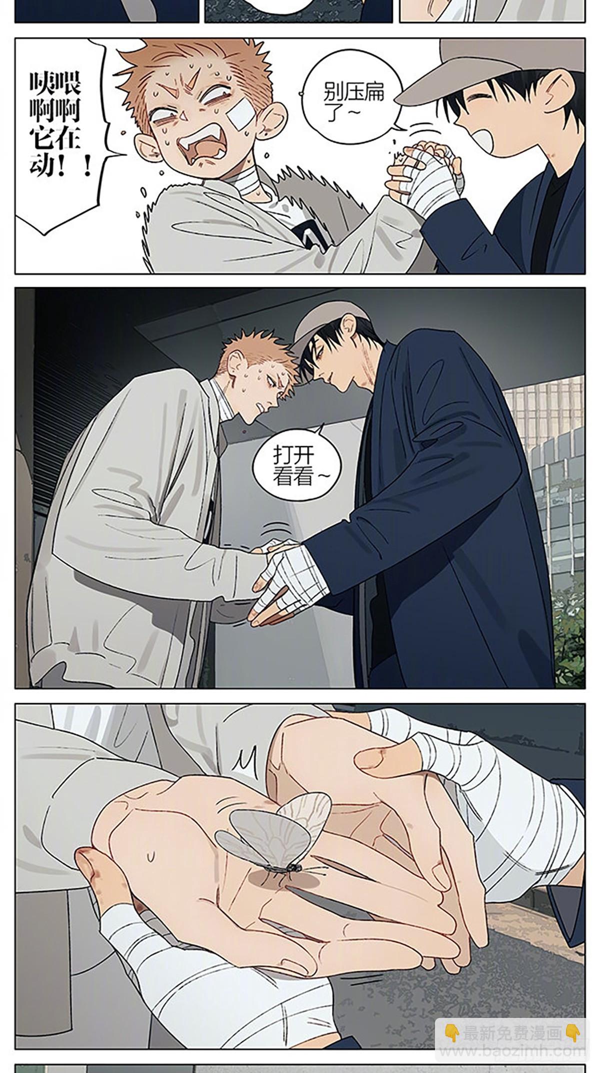 15.jpg