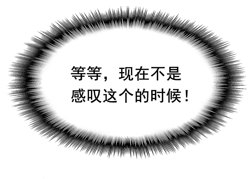 73.jpg