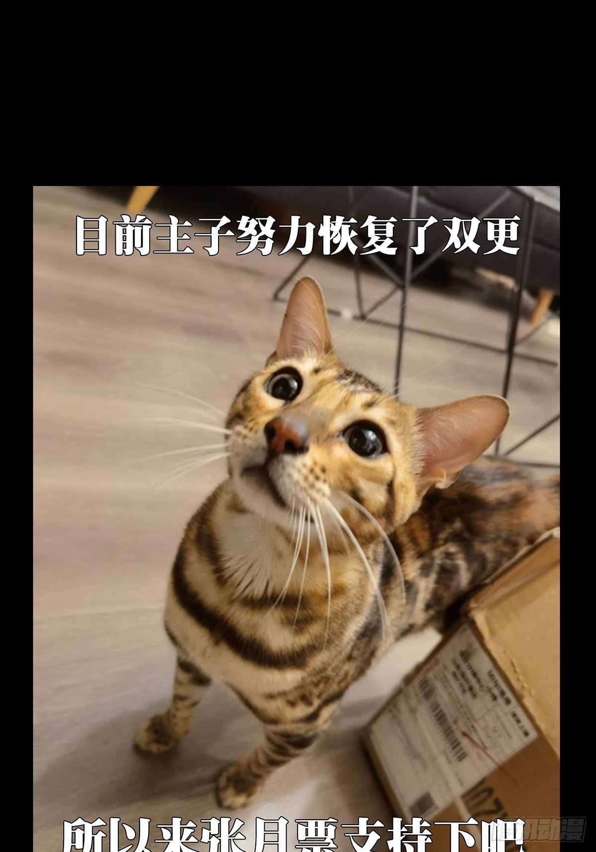 94.jpg