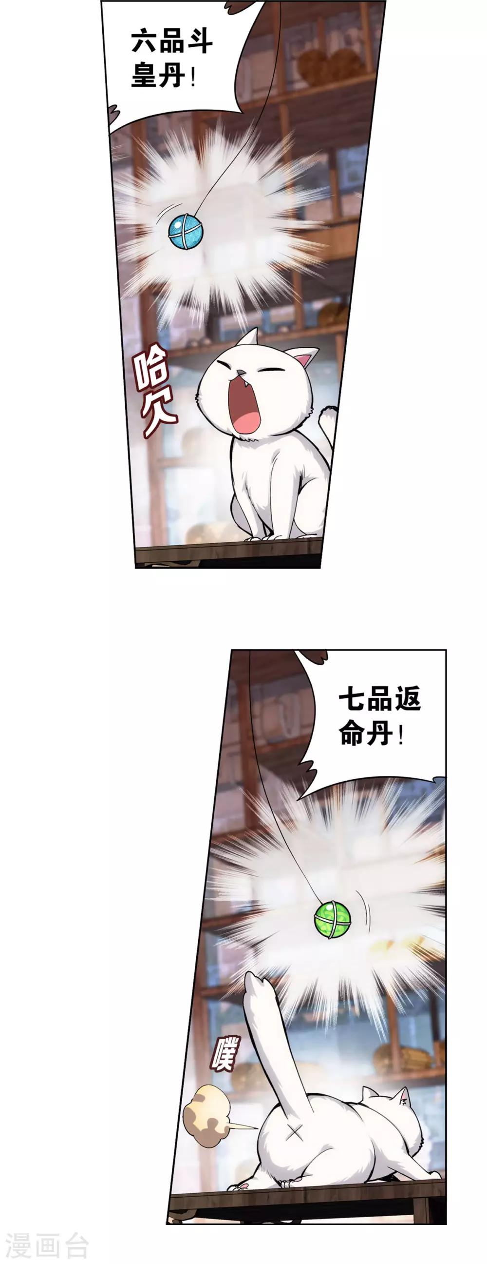 19.jpg