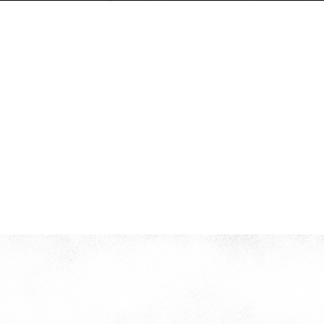 65.jpg