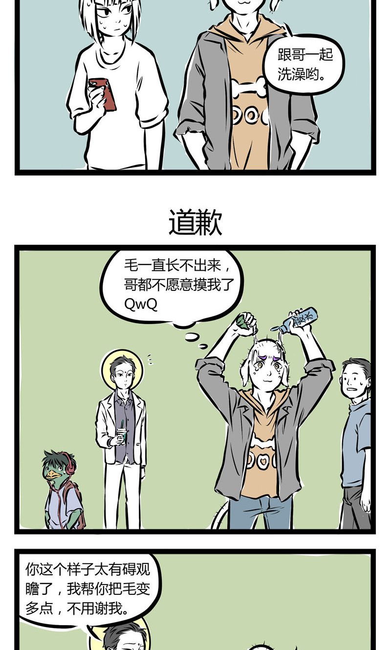 5.jpg