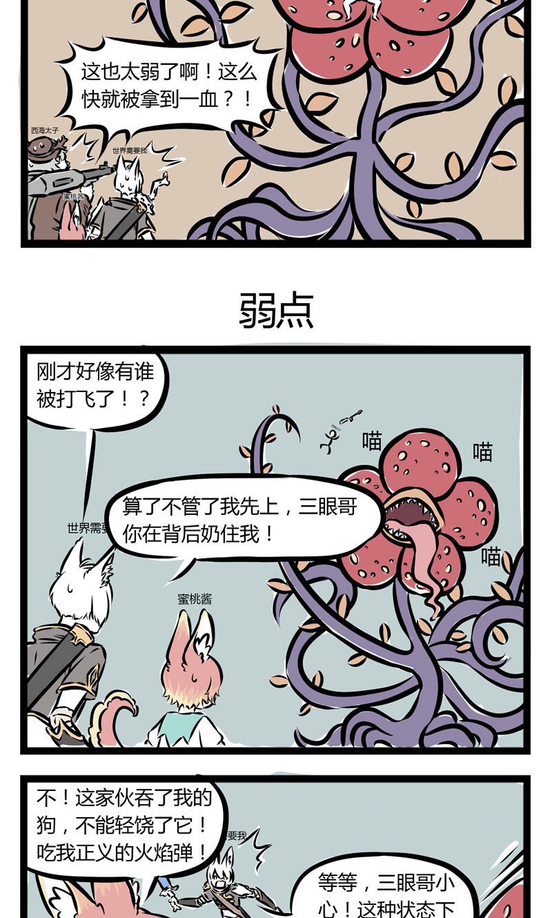 5.jpg