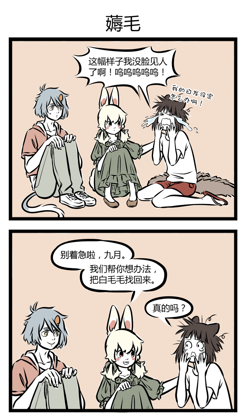 5.jpg