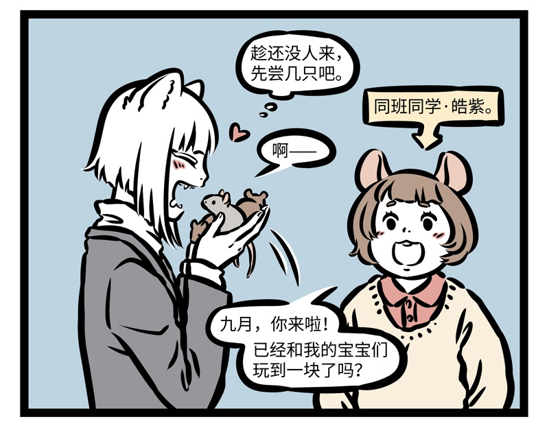 6.jpg