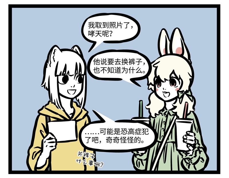 11.jpg