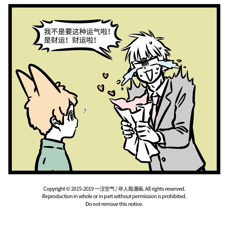 15.jpg