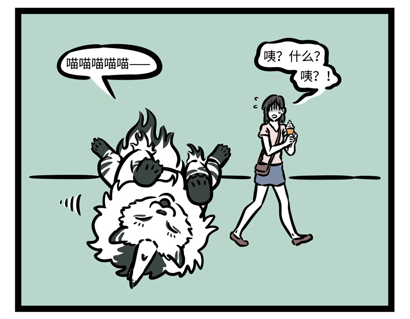 11.jpg
