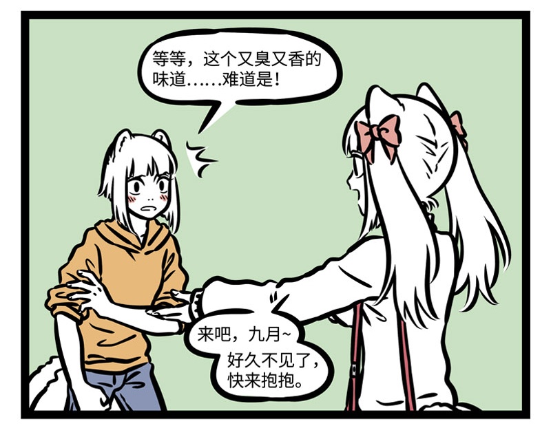 11.jpg