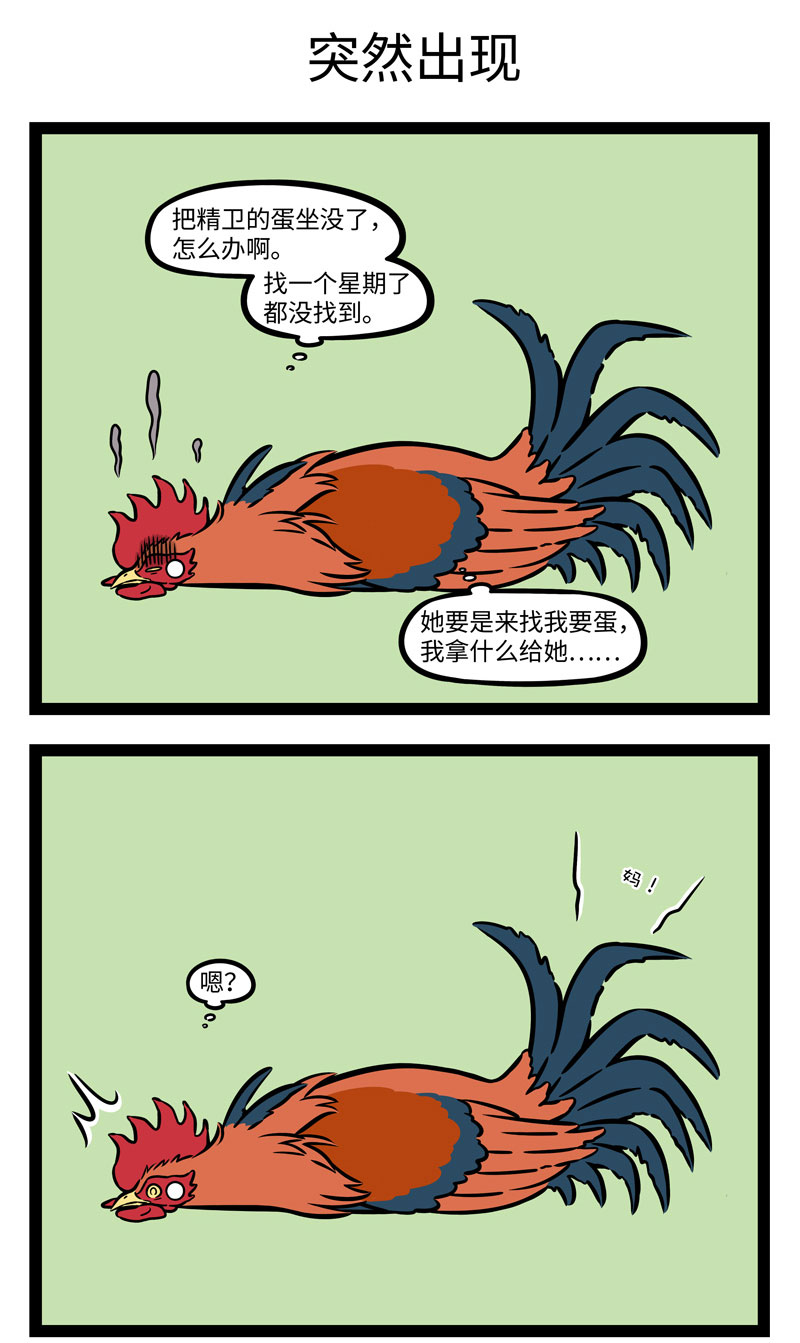 5.jpg