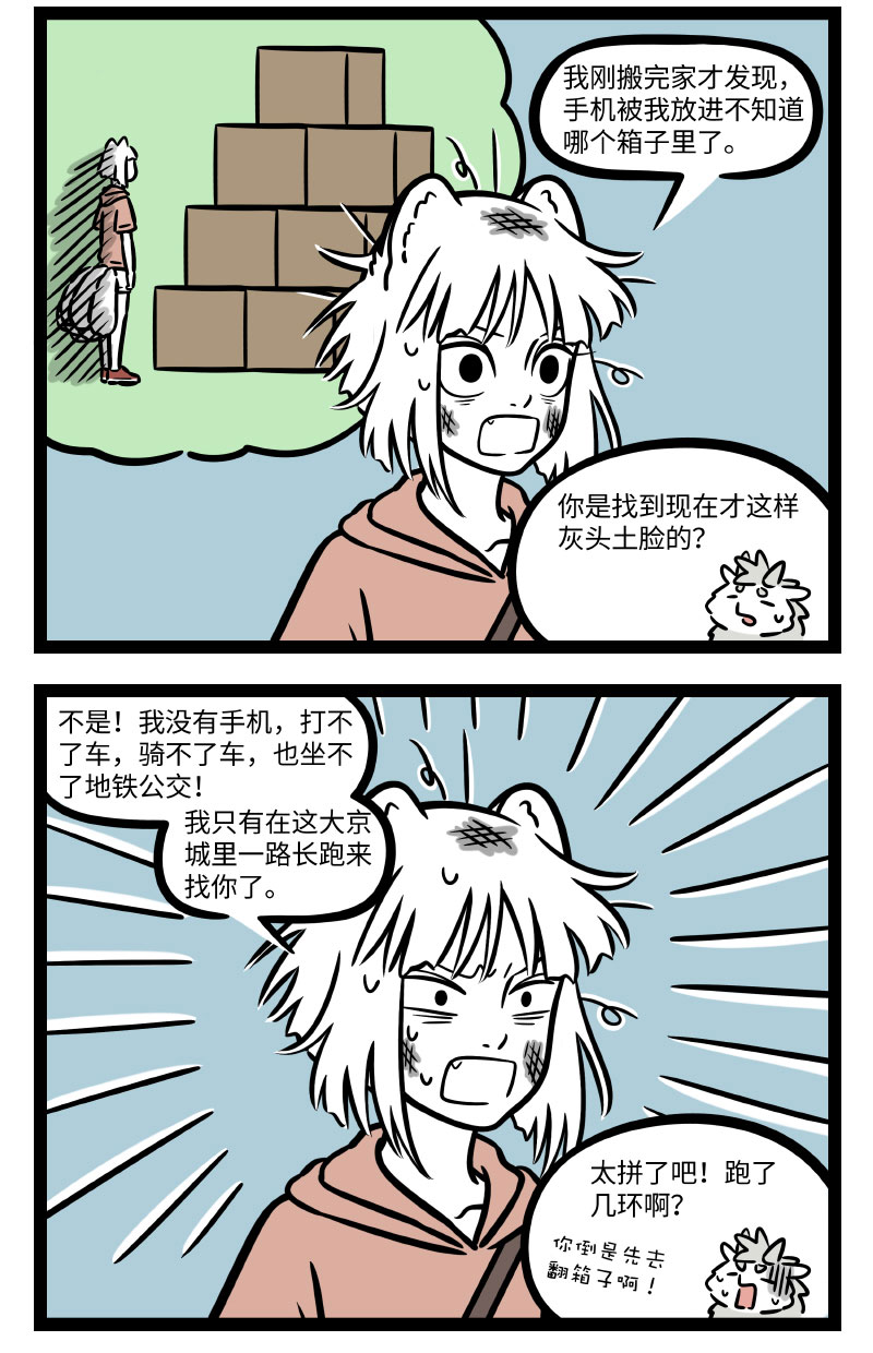 3.jpg