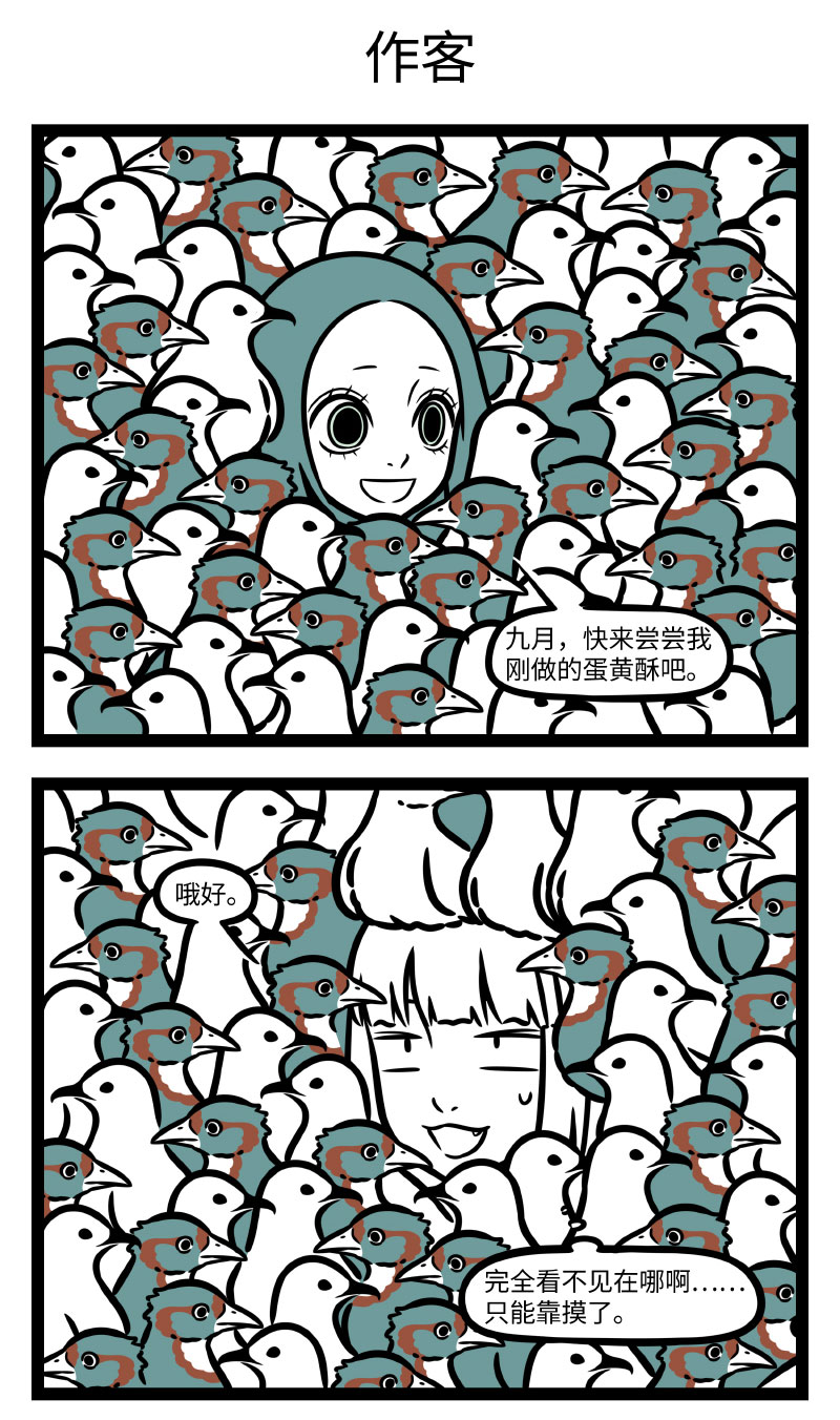 5.jpg