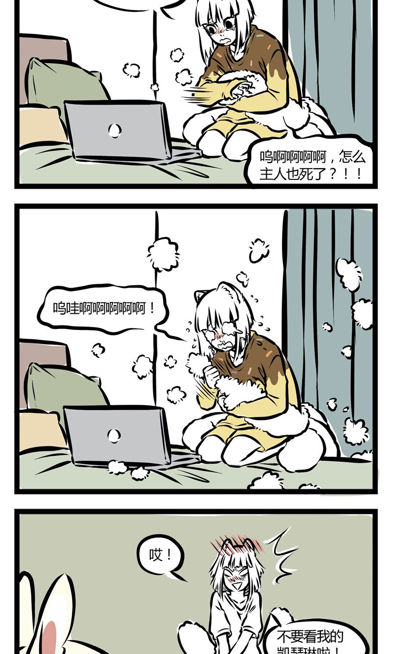 7.jpg
