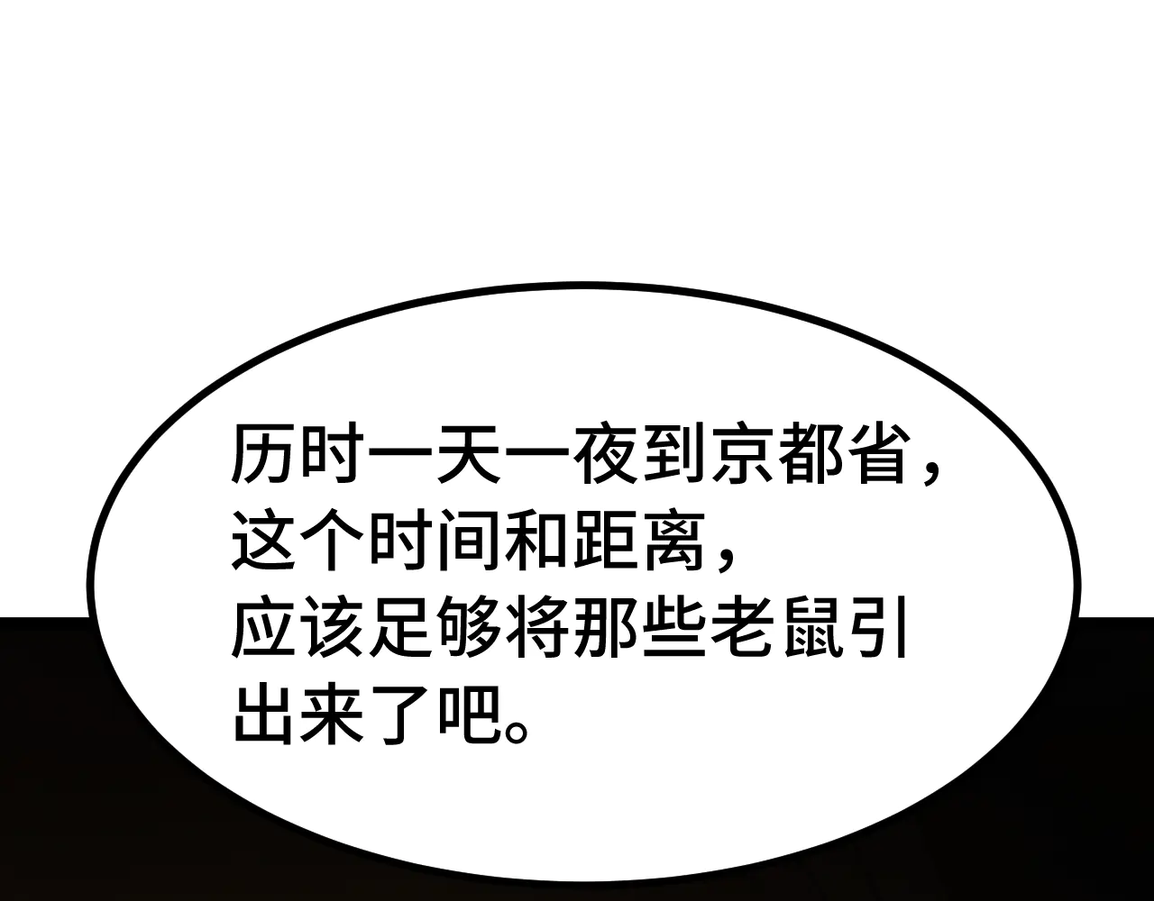 95.jpg