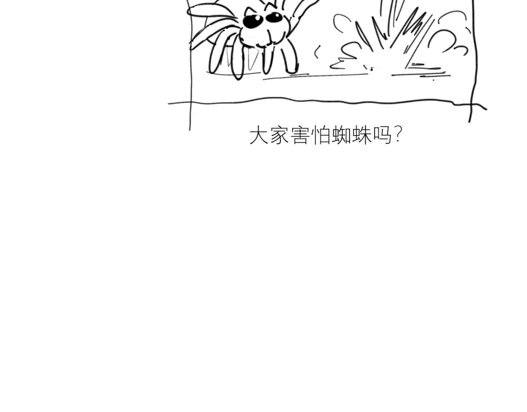 80.jpg
