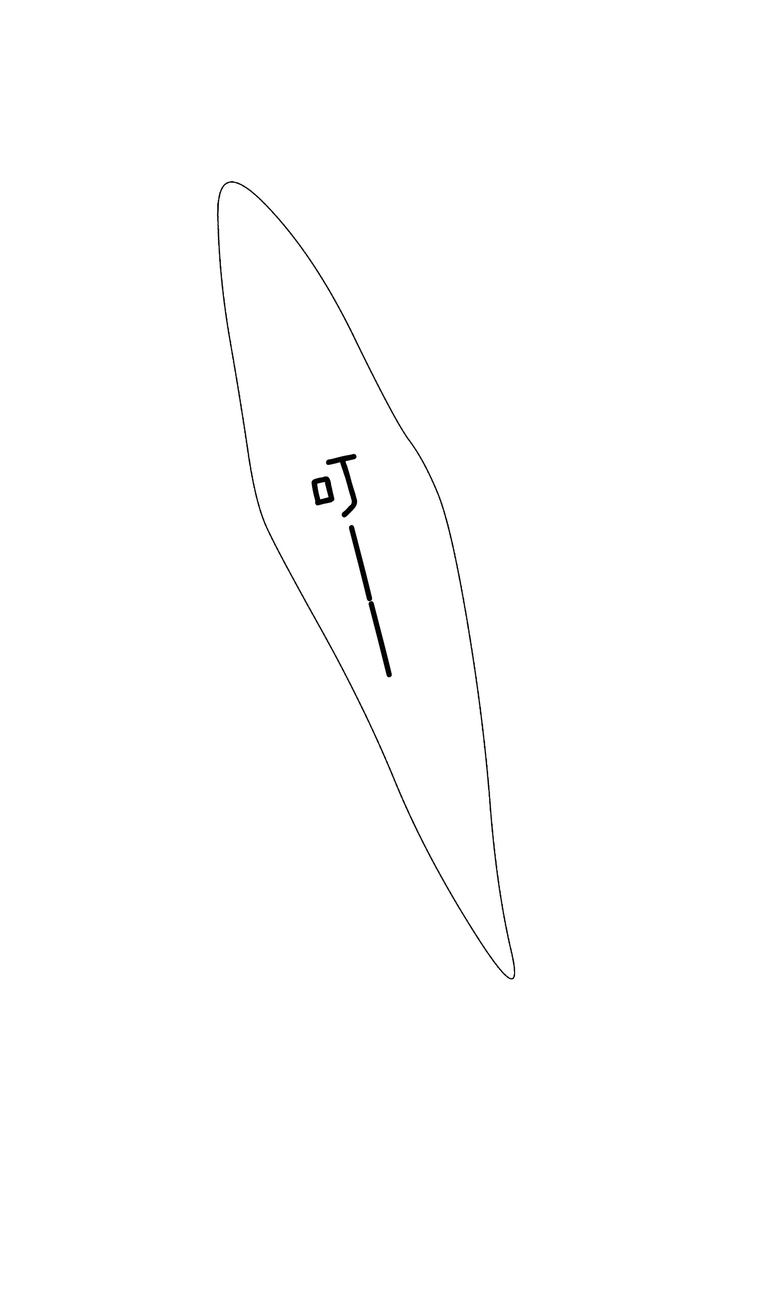 195.jpg