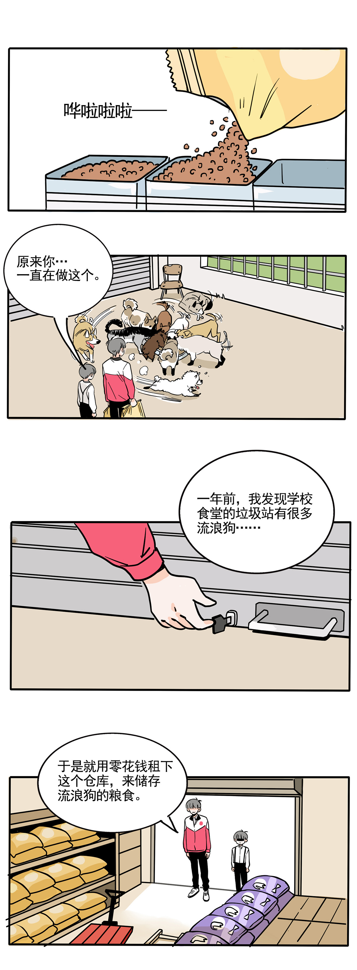 5.jpg