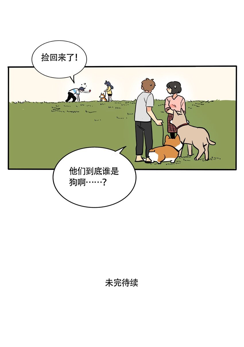 12.jpg