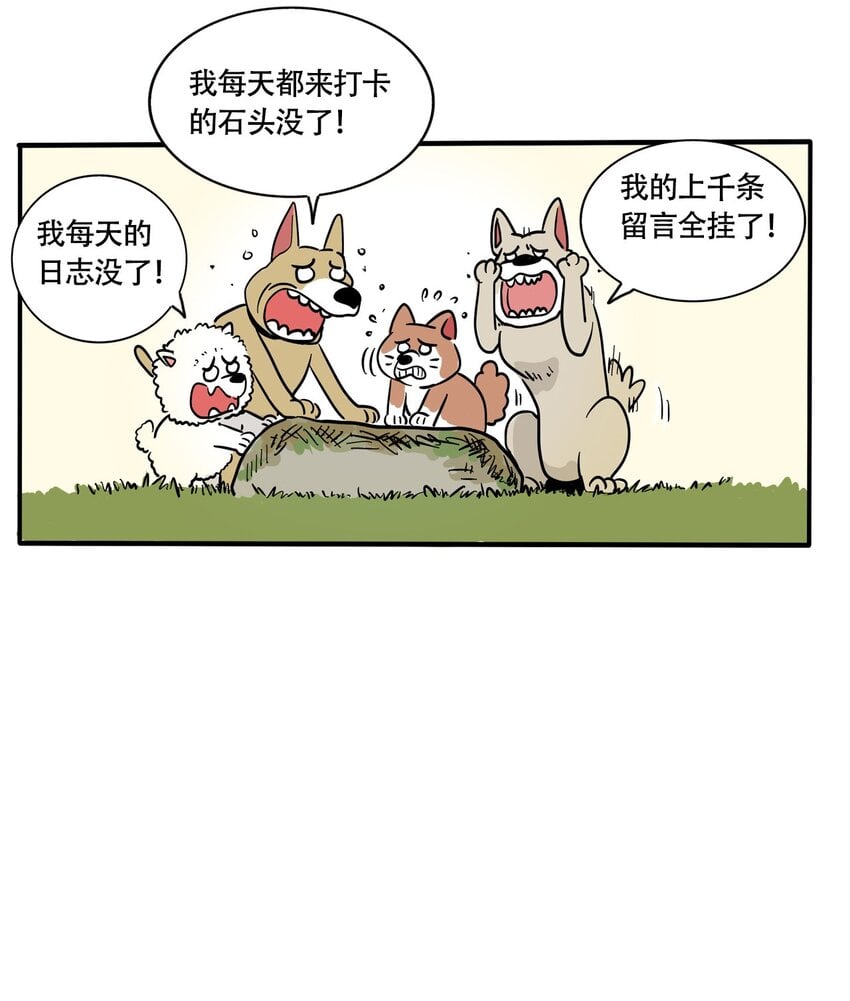 15.jpg