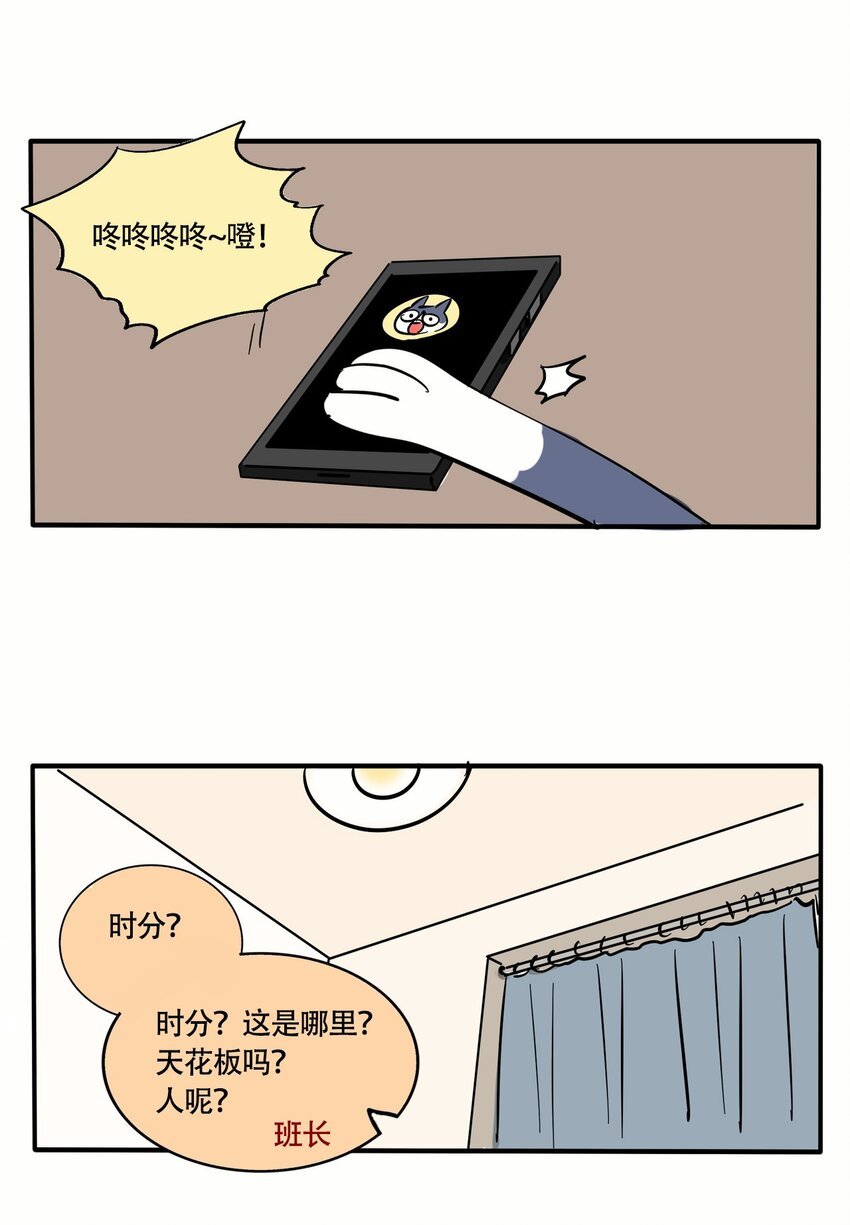 19.jpg