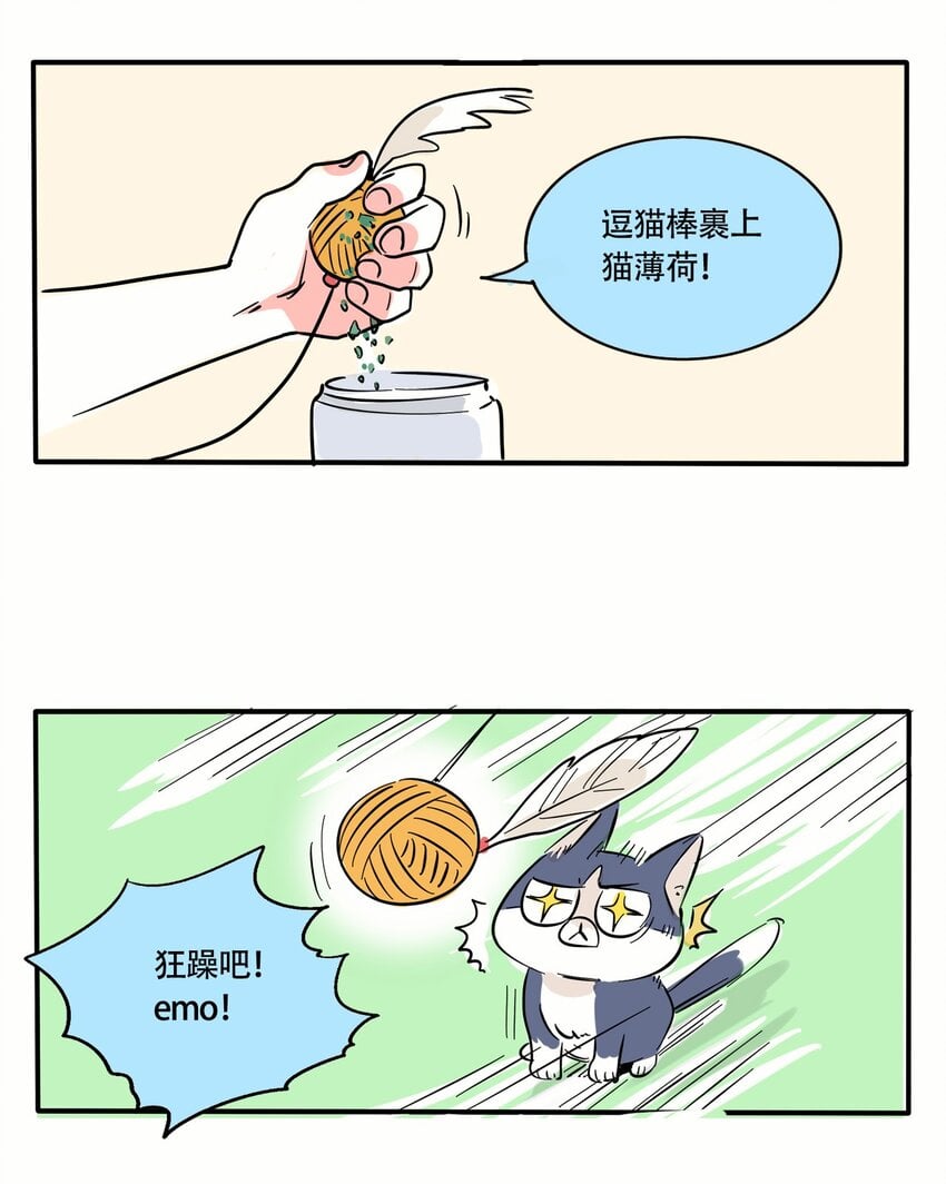 29.jpg