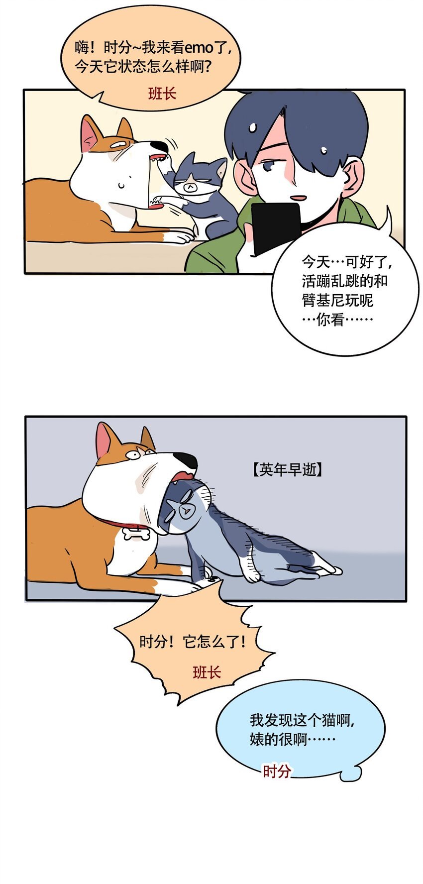 12.jpg