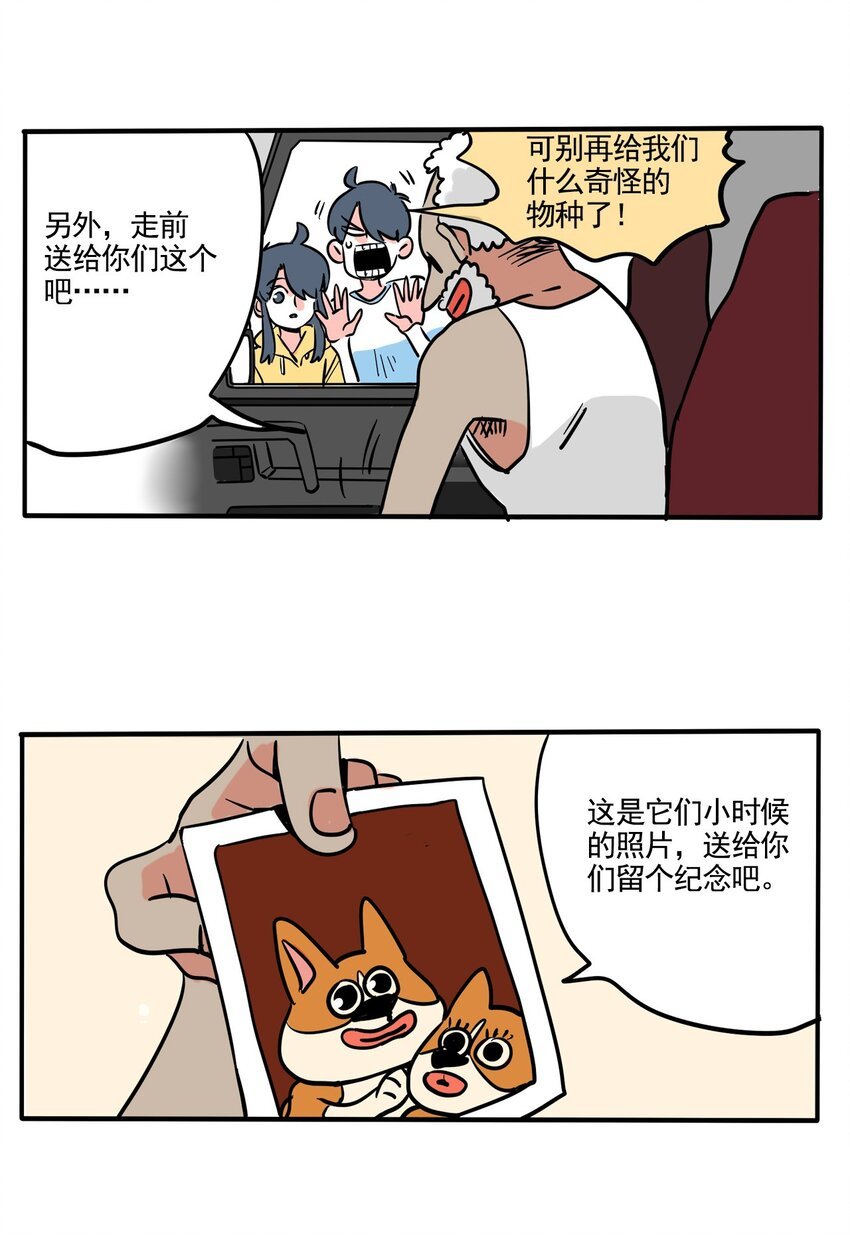 25.jpg
