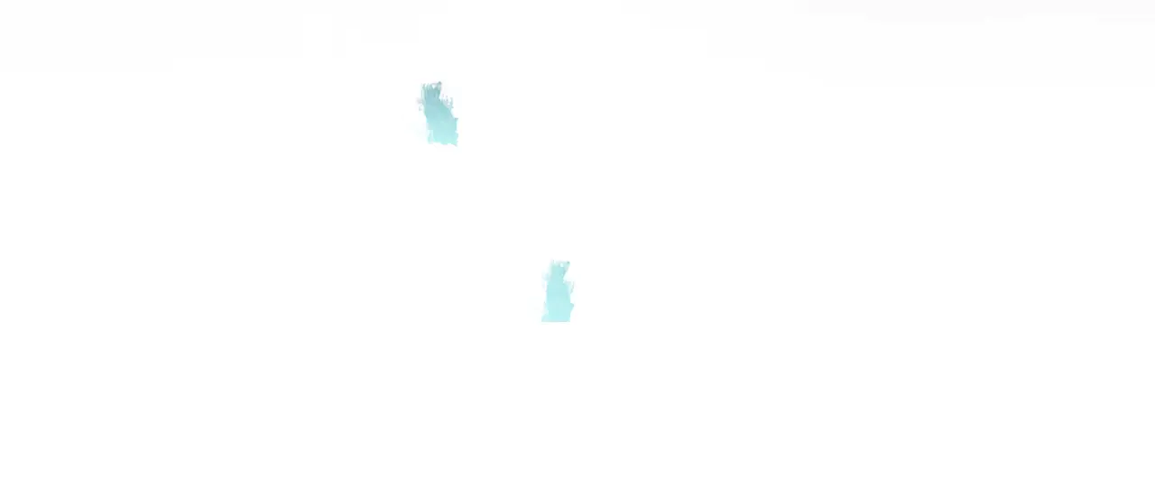 410.jpg