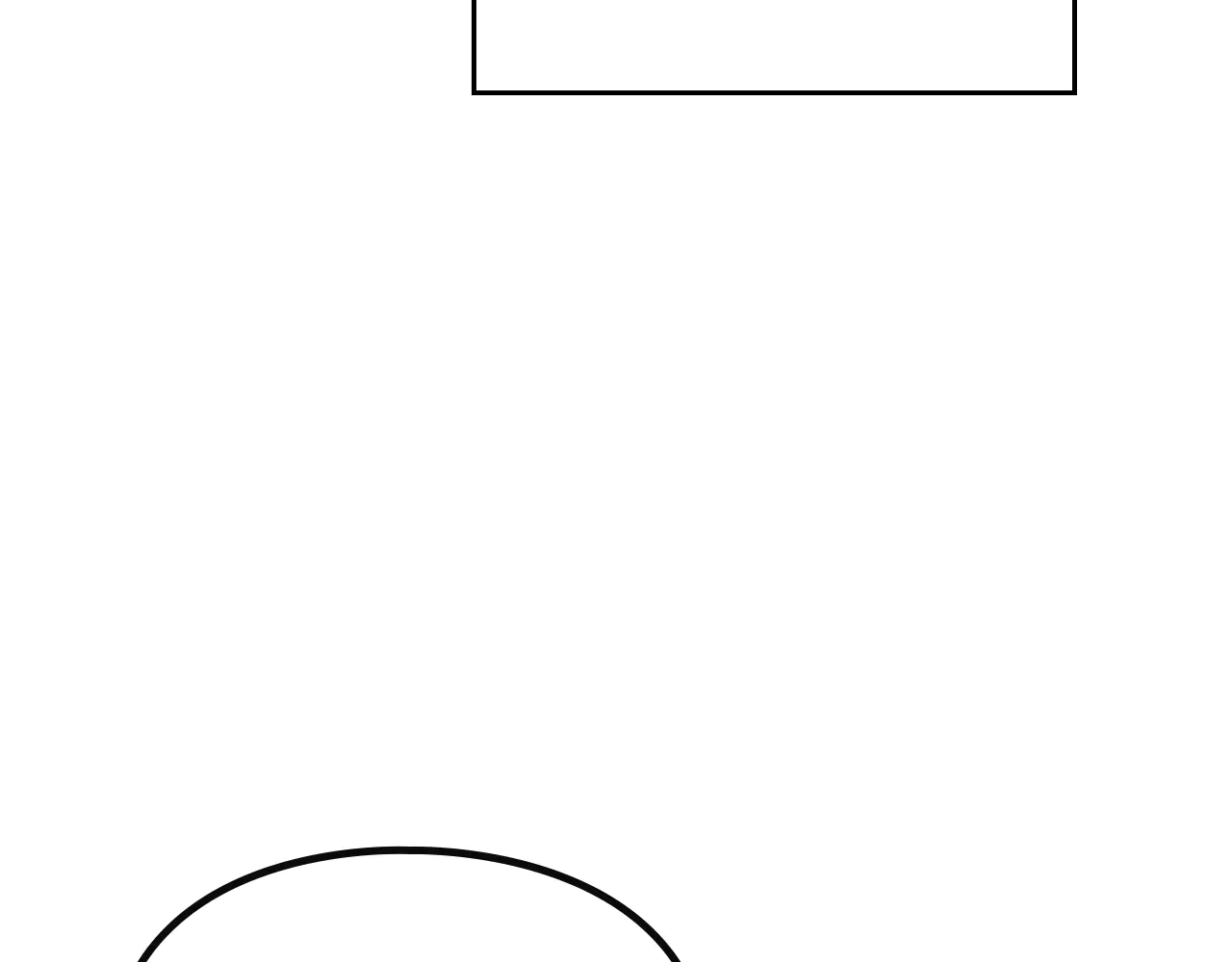 243.jpg