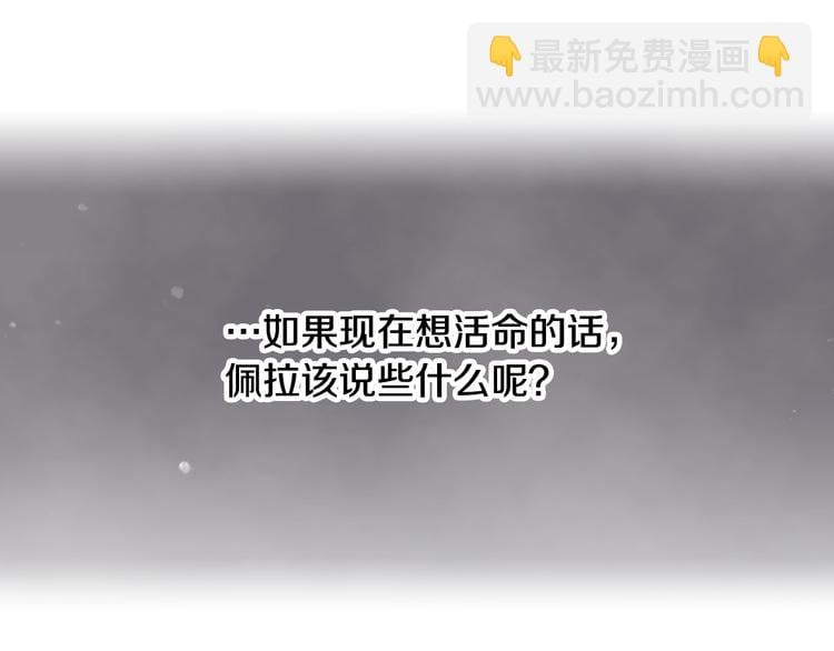81.jpg
