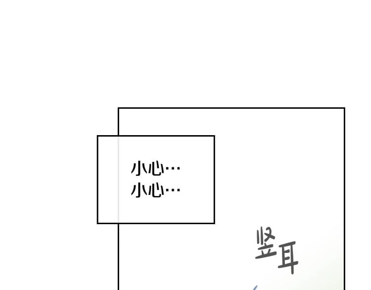 97.jpg
