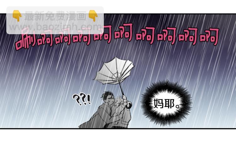 78.jpg