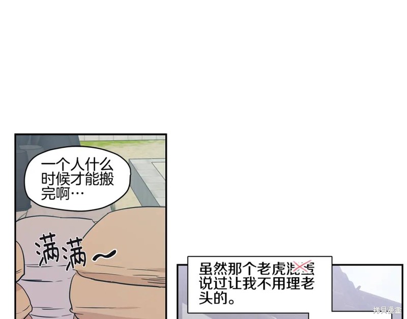97.jpg