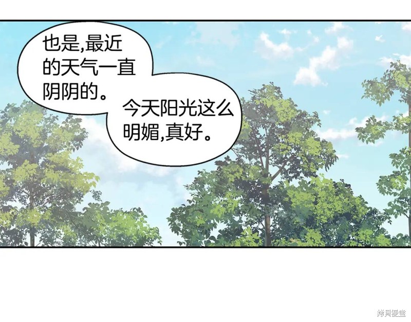 77.jpg