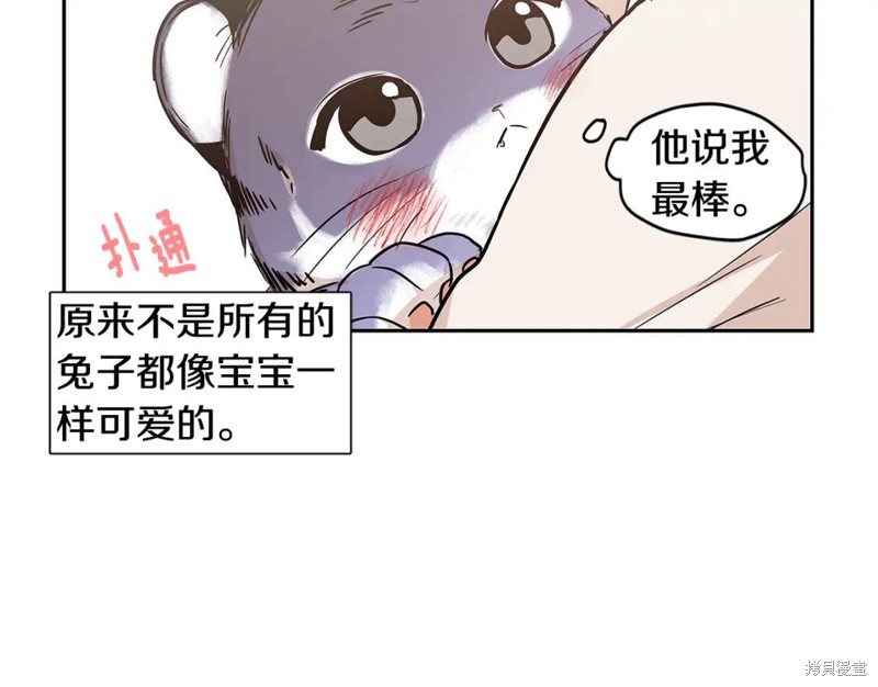 117.jpg