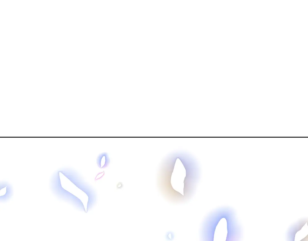 238.jpg