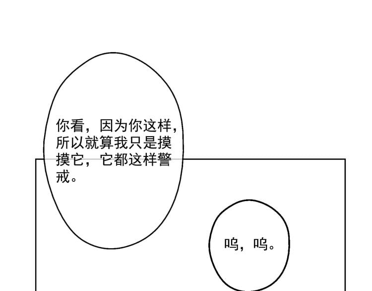 97.jpg