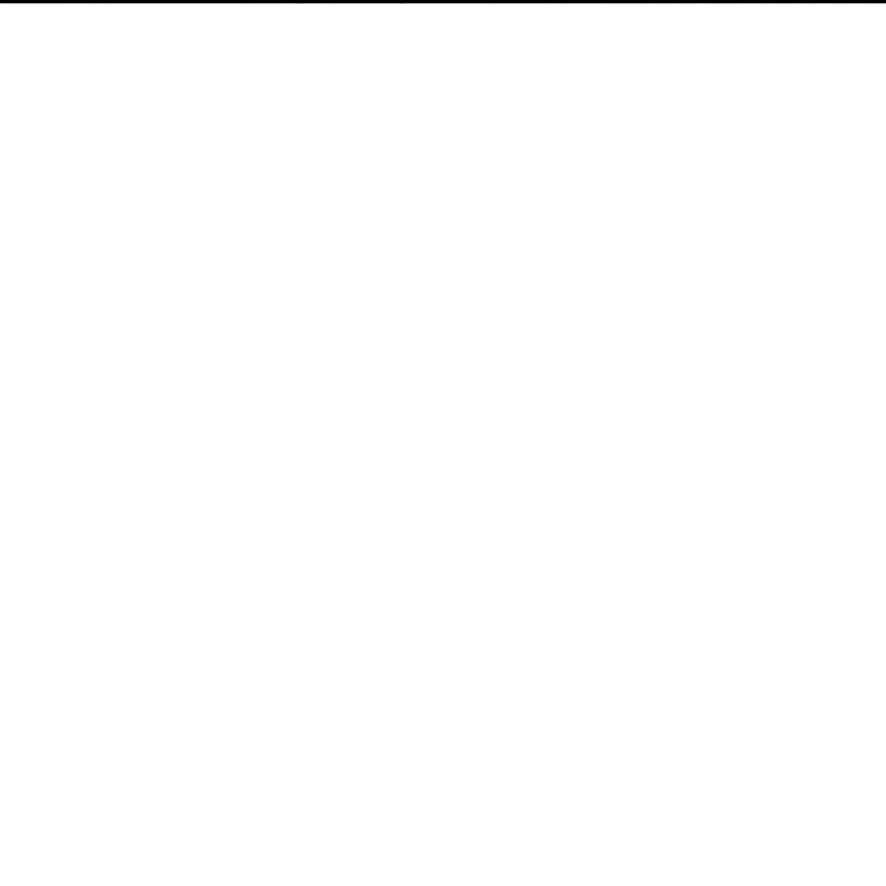113.jpg
