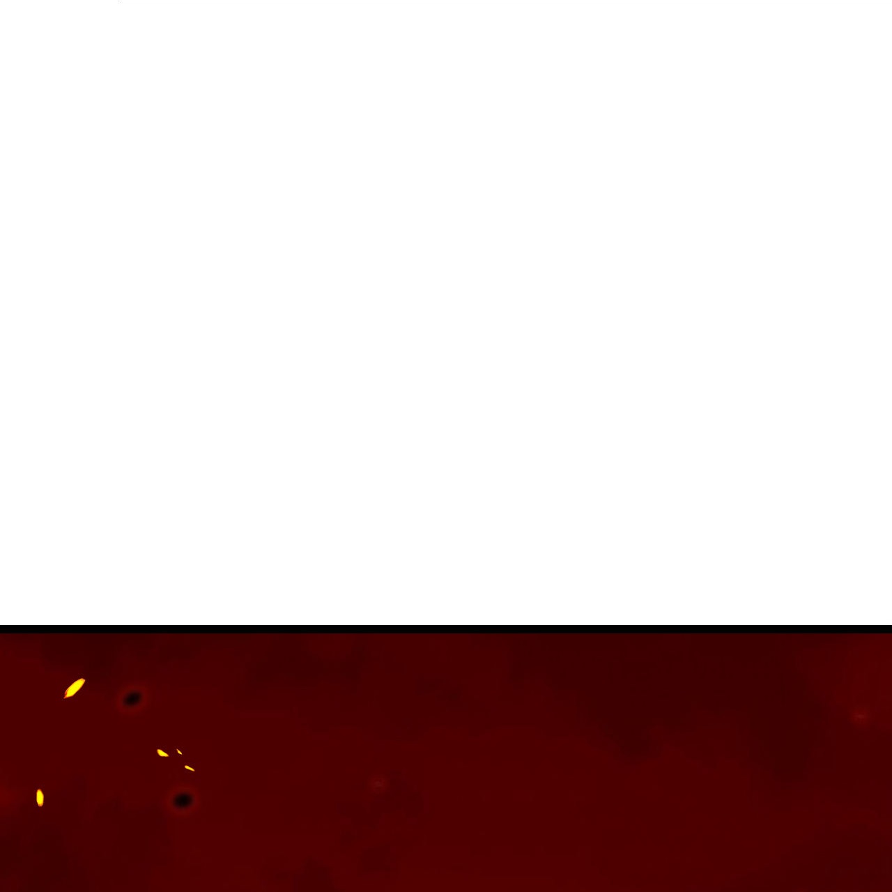 75.jpg