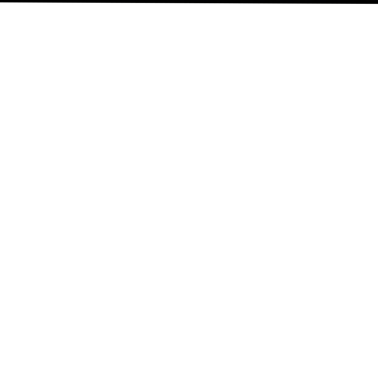 73.jpg
