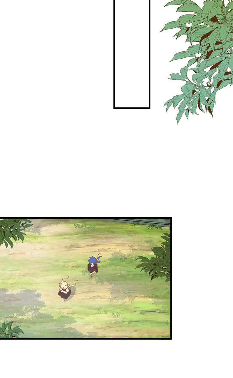 64.jpg