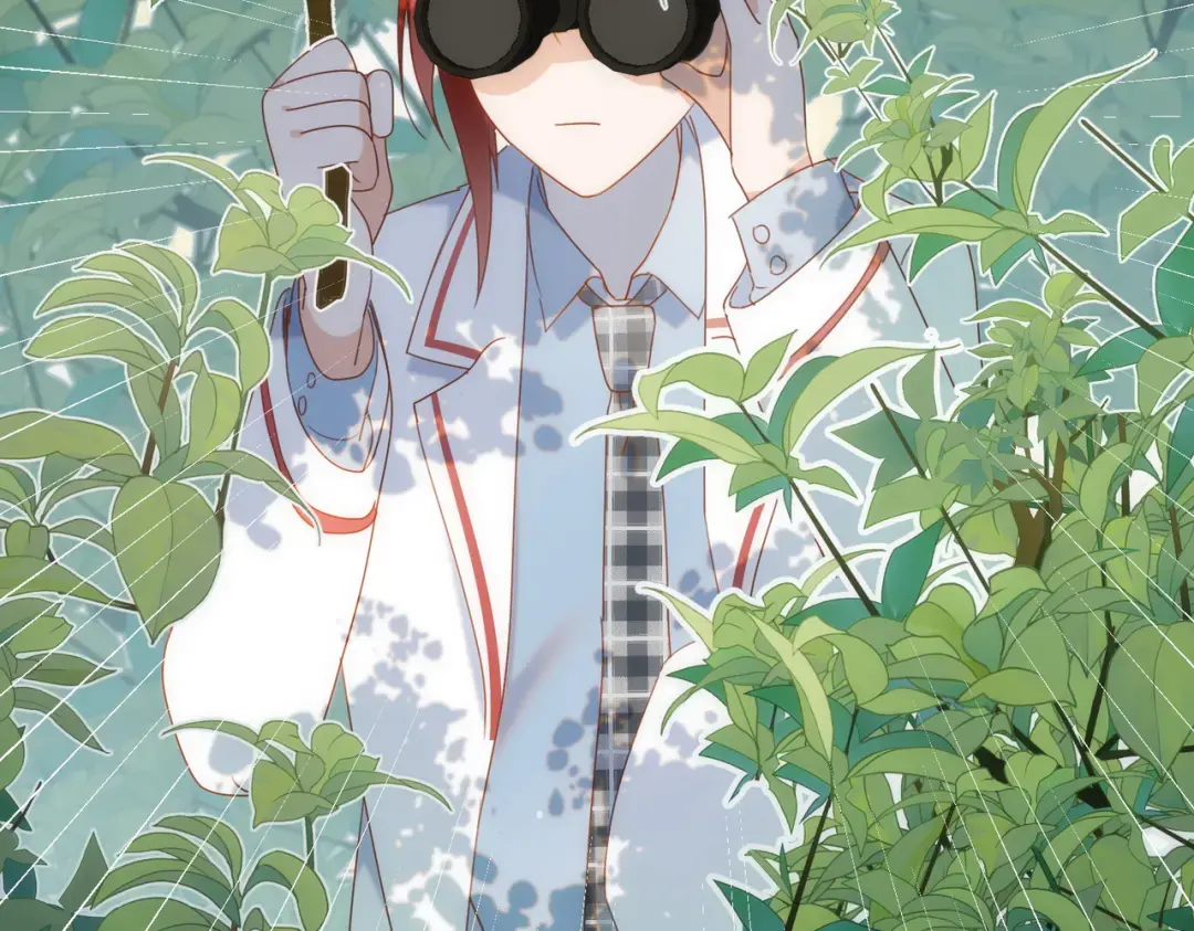 11.jpg