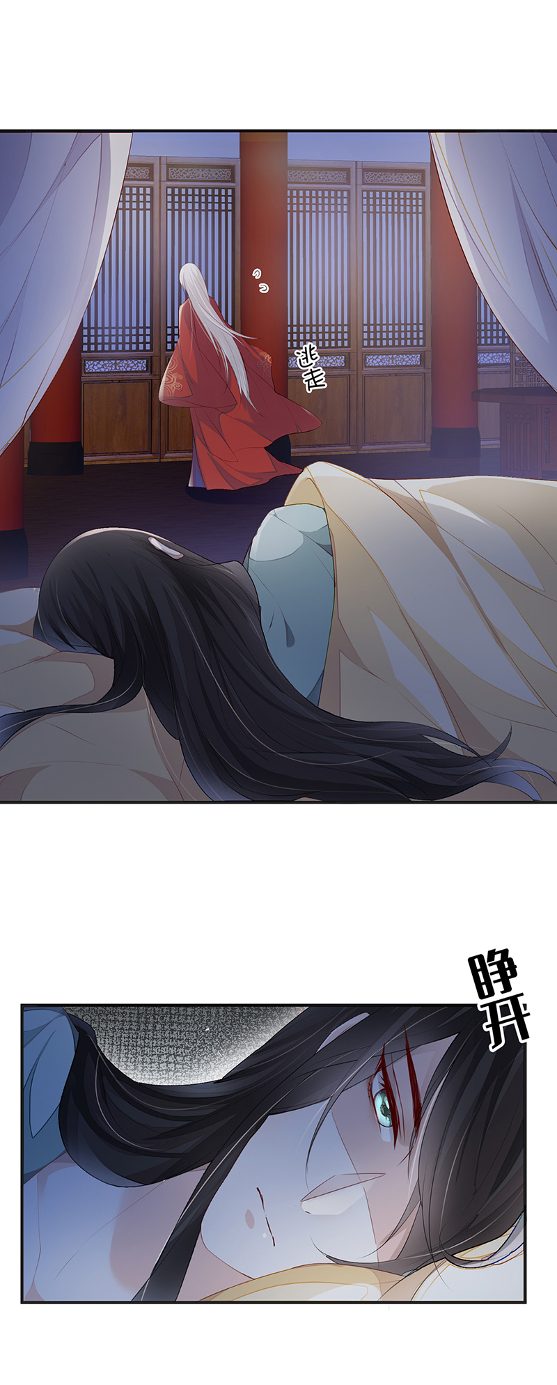 11.jpg