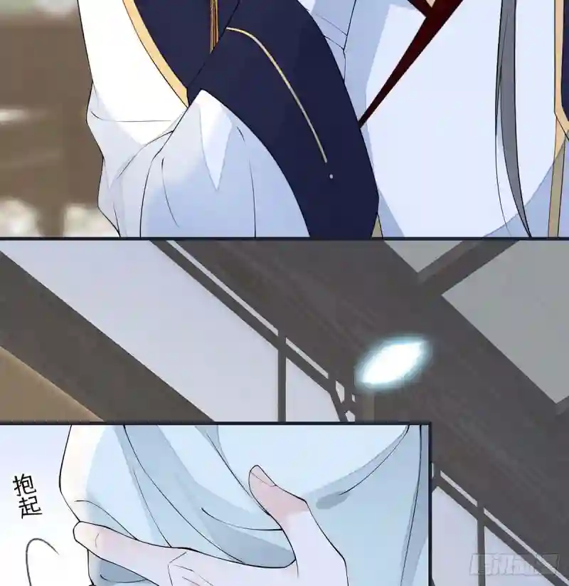51.jpg
