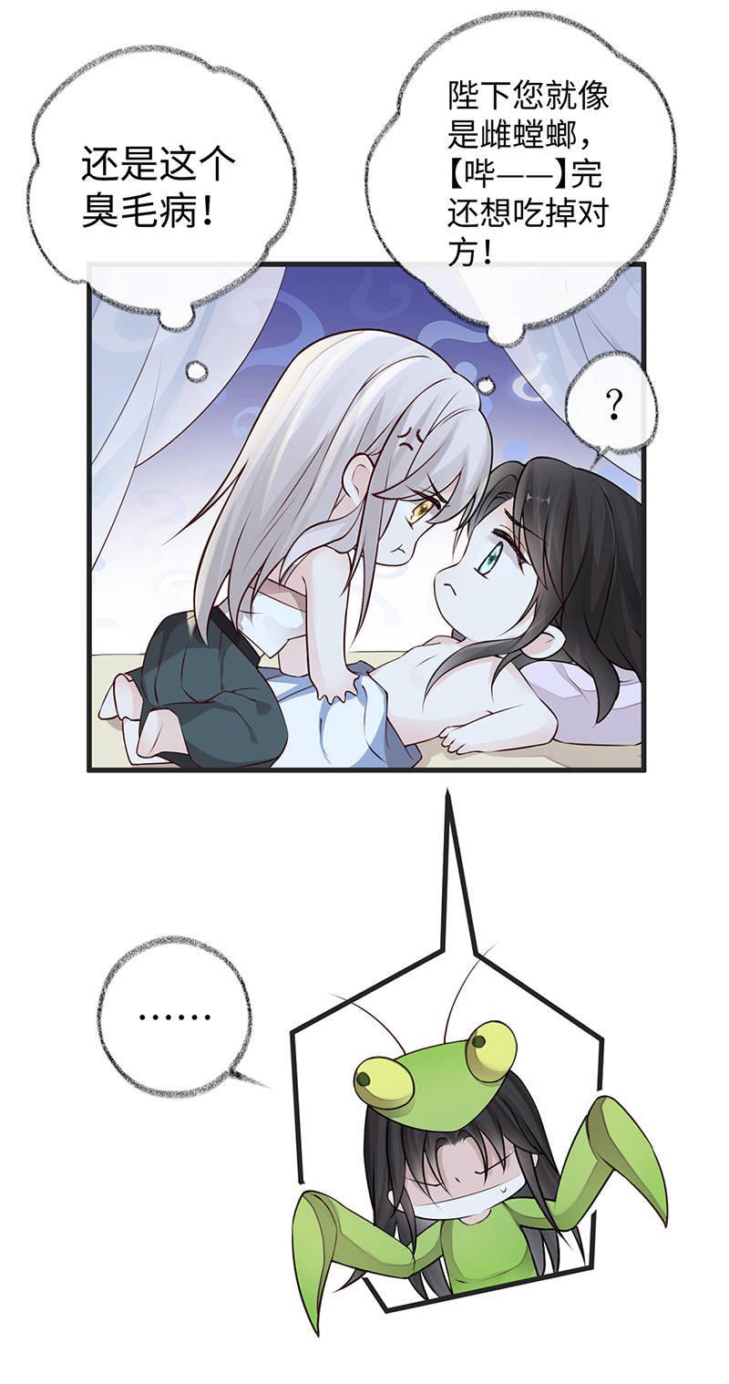 31.jpg