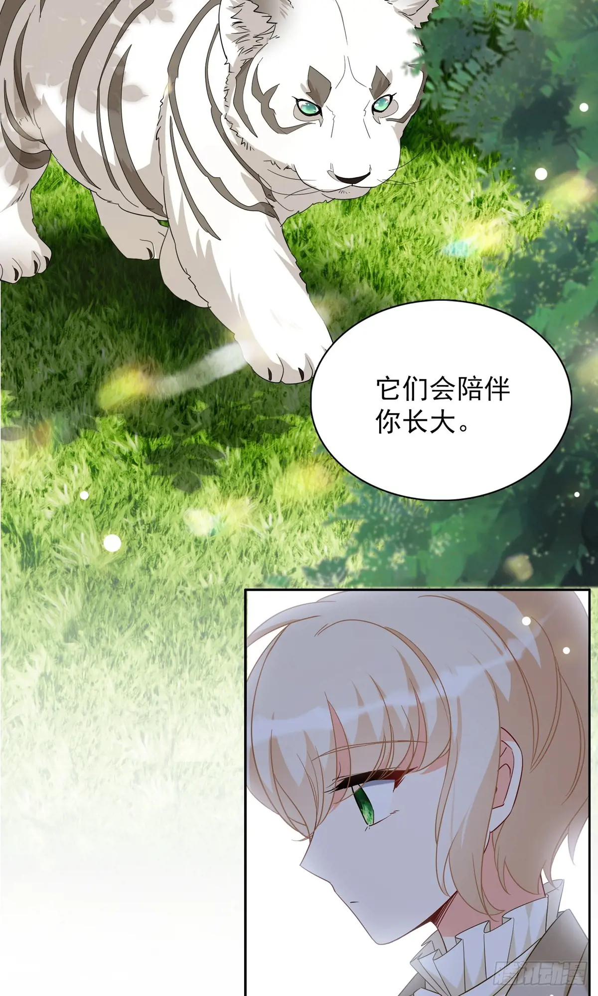 27.jpg