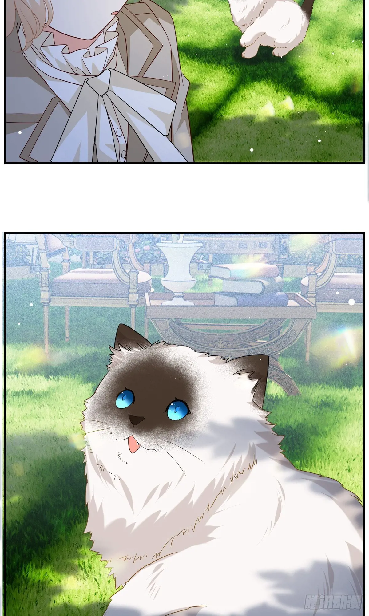 35.jpg