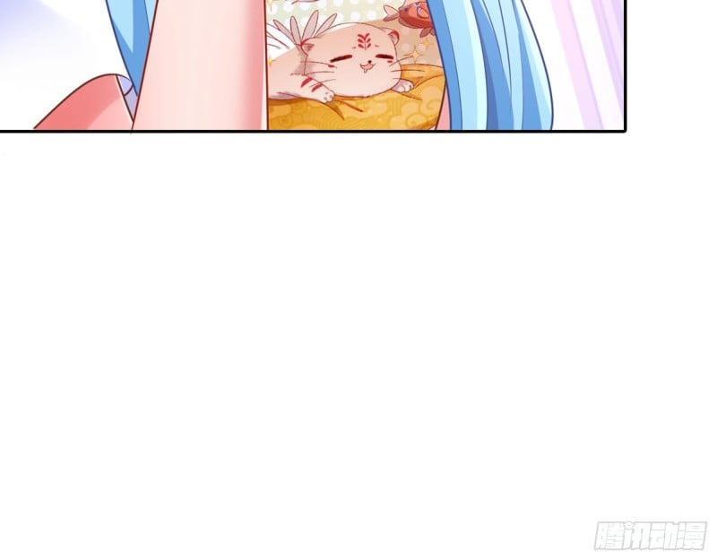 51.jpg